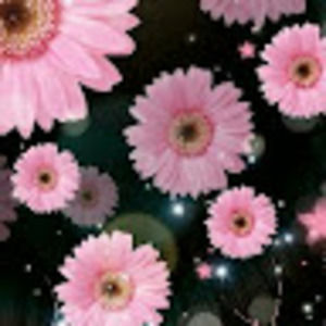 Meet your Posher, Shelley